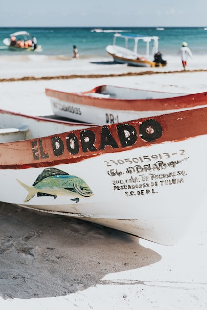 Catch the Best Fish in North Myrtle Beach